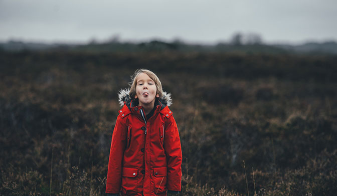 スタータープランのイメージ